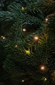 Close up of Christmas tree with lights