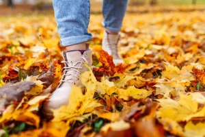 Woman walking through autumn leaves on the ground
