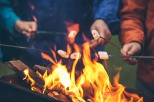 Toasted marshmallows over an open fire