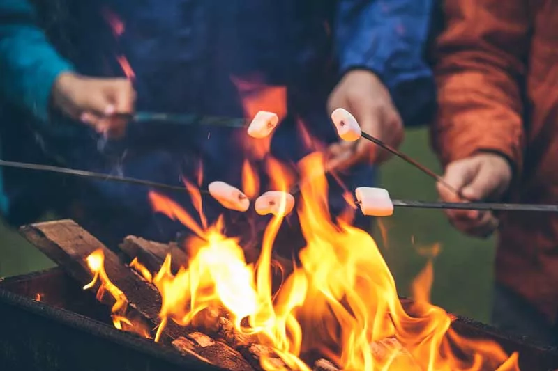 Toasted marshmallows over an open fire