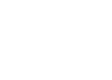 parent-icon
